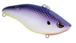SPRO Wameku Shad 70 Lipless Crankbait 31 SPRO Wameku Shad 70 Lipless Crankbait -Fishing Promotion Store 31420573155417