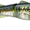 Chasebaits Drunken Mullet 95/130 Topwater Prop Lure 1 Chasebaits Drunken Mullet 95/130 Topwater Prop Lure -Fishing Promotion Store 31431098630233
