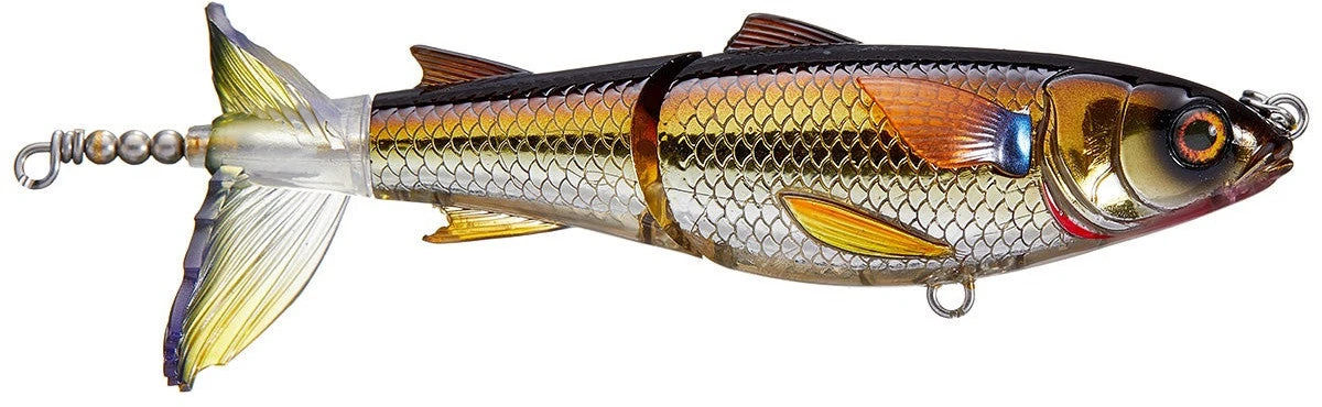 Chasebaits Drunken Mullet 95/130 Topwater Prop Lure 11 Chasebaits Drunken Mullet 95/130 Topwater Prop Lure - Image 9