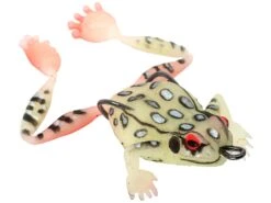 Chasebaits Bobbin' Frog Hollow Body Frog 19 Chasebaits Bobbin' Frog Hollow Body Frog -Fishing Promotion Store 31437111787609