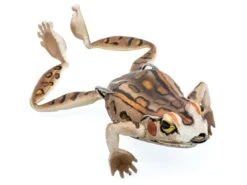 Chasebaits Bobbin' Frog Hollow Body Frog 20 Chasebaits Bobbin' Frog Hollow Body Frog -Fishing Promotion Store 31437111820377