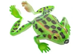 Chasebaits Bobbin' Frog Hollow Body Frog 25 Chasebaits Bobbin' Frog Hollow Body Frog -Fishing Promotion Store 31437112016985