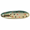 Acme Kastmaster Spoon 1/4 Oz. 2 Acme Kastmaster Spoon 1/4 Oz. -Fishing Promotion Store 31456069156953