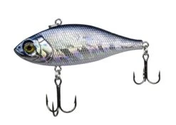 Lunkerhunt Fillet 3 Inch Lipless Crankbait 29 Lunkerhunt Fillet 3 Inch Lipless Crankbait -Fishing Promotion Store 31494701514841