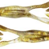 Gambler Buzz'n Cane Toad 4 1/4 Inch Soft Plastic Frog 5 Pack 1 Gambler Buzz'n Cane Toad 4 1/4 Inch Soft Plastic Frog 5 Pack -Fishing Promotion Store 31578160005209
