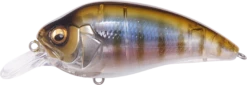 Megabass Super-Z Z-1 Medium Diving Crankbait 19 Megabass Super-Z Z-1 Medium Diving Crankbait -Fishing Promotion Store 31680779026521