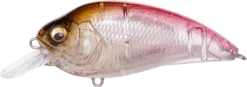 Megabass Super-Z Z-1 Medium Diving Crankbait 20 Megabass Super-Z Z-1 Medium Diving Crankbait -Fishing Promotion Store 31680779059289