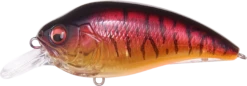 Megabass Super-Z Z-1 Medium Diving Crankbait 21 Megabass Super-Z Z-1 Medium Diving Crankbait -Fishing Promotion Store 31680779092057
