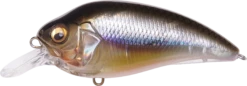 Megabass Super-Z Z-1 Medium Diving Crankbait 22 Megabass Super-Z Z-1 Medium Diving Crankbait -Fishing Promotion Store 31680779124825