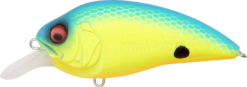 Megabass Super-Z Z-1 Medium Diving Crankbait 24 Megabass Super-Z Z-1 Medium Diving Crankbait -Fishing Promotion Store 31680779190361