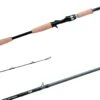 Daiwa Tatula Series Swimbait Casting Rods 2 Daiwa Tatula Series Swimbait Casting Rods -Fishing Promotion Store 32053686370393