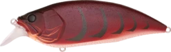 Megabass Big-M 2.0 Magnum Medium Diving Crankbait 16 Megabass Big-M 2.0 Magnum Medium Diving Crankbait -Fishing Promotion Store 32195136880729