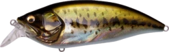 Megabass Big-M 2.0 Magnum Medium Diving Crankbait 17 Megabass Big-M 2.0 Magnum Medium Diving Crankbait -Fishing Promotion Store 32195136913497