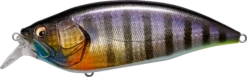 Megabass Big-M 2.0 Magnum Medium Diving Crankbait 18 Megabass Big-M 2.0 Magnum Medium Diving Crankbait -Fishing Promotion Store 32195136946265