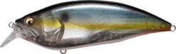 Megabass Big-M 2.0 Magnum Medium Diving Crankbait 20 Megabass Big-M 2.0 Magnum Medium Diving Crankbait -Fishing Promotion Store 32195137044569