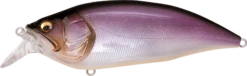 Megabass Big-M 2.0 Magnum Medium Diving Crankbait 21 Megabass Big-M 2.0 Magnum Medium Diving Crankbait -Fishing Promotion Store 32195137077337