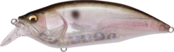 Megabass Big-M 2.0 Magnum Medium Diving Crankbait 22 Megabass Big-M 2.0 Magnum Medium Diving Crankbait -Fishing Promotion Store 32195137110105