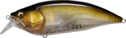 Megabass Big-M 2.0 Magnum Medium Diving Crankbait 23 Megabass Big-M 2.0 Magnum Medium Diving Crankbait -Fishing Promotion Store 32195137142873