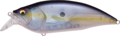 Megabass Big-M 2.0 Magnum Medium Diving Crankbait 24 Megabass Big-M 2.0 Magnum Medium Diving Crankbait -Fishing Promotion Store 32195137175641