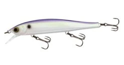 Yo-Zuri 3DB Jerkbait 110 30 Yo-Zuri 3DB Jerkbait 110 -Fishing Promotion Store 32233071640665