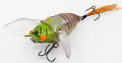 Chasebaits Ripple Cicada 1 3/4 Inch Wakebait Crawler 12 Chasebaits Ripple Cicada 1 3/4 Inch Wakebait Crawler -Fishing Promotion Store 32233146875993