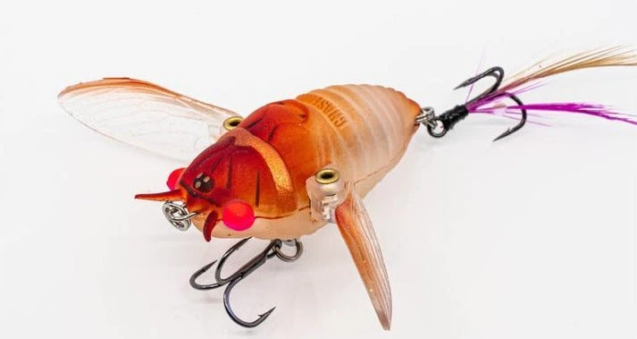 Chasebaits Ripple Cicada 1 3/4 Inch Wakebait Crawler 8 Chasebaits Ripple Cicada 1 3/4 Inch Wakebait Crawler - Image 6