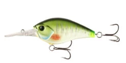 13 Fishing Cliff Banger Medium-Deep Diving Crankbait 33 13 Fishing Cliff Banger Medium-Deep Diving Crankbait -Fishing Promotion Store 32254099685465