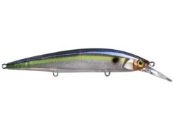 Jackall Rerange 110MR Jerkbait 21 Jackall Rerange 110MR Jerkbait -Fishing Promotion Store 32263653490777