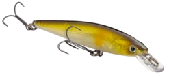 Strike King KVD 100 Series Suspending Shallow Jerkbait 19 Strike King KVD 100 Series Suspending Shallow Jerkbait -Fishing Promotion Store 32272586244185