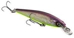Strike King KVD 100 Series Suspending Shallow Jerkbait 21 Strike King KVD 100 Series Suspending Shallow Jerkbait -Fishing Promotion Store 32272586309721