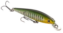 Strike King KVD 100 Series Suspending Shallow Jerkbait 24 Strike King KVD 100 Series Suspending Shallow Jerkbait -Fishing Promotion Store 32272586408025
