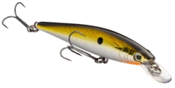 Strike King KVD 100 Series Suspending Shallow Jerkbait 28 Strike King KVD 100 Series Suspending Shallow Jerkbait -Fishing Promotion Store 32272586539097