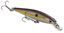 Strike King KVD 100 Series Suspending Shallow Jerkbait 30 Strike King KVD 100 Series Suspending Shallow Jerkbait -Fishing Promotion Store 32272586604633