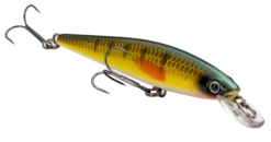 Strike King KVD 100 Series Suspending Shallow Jerkbait 31 Strike King KVD 100 Series Suspending Shallow Jerkbait -Fishing Promotion Store 32272586637401