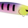 SPRO MadEye Minnow 120 Deep Diving Walleye Trolling Lure 2 SPRO MadEye Minnow 120 Deep Diving Walleye Trolling Lure -Fishing Promotion Store 32339518554201