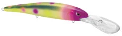SPRO MadEye Minnow 120 Deep Diving Walleye Trolling Lure 29 SPRO MadEye Minnow 120 Deep Diving Walleye Trolling Lure -Fishing Promotion Store 32339518849113