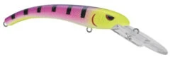 SPRO MadEye Diver 85 Extra Deep Diving Crankbait 20 SPRO MadEye Diver 85 Extra Deep Diving Crankbait -Fishing Promotion Store 32339524419673