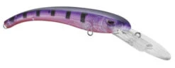 SPRO MadEye Diver 85 Extra Deep Diving Crankbait 26 SPRO MadEye Diver 85 Extra Deep Diving Crankbait -Fishing Promotion Store 32339524616281