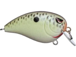 SPRO John Crews Baby Fat John 50 Shallow Crankbait 12 SPRO John Crews Baby Fat John 50 Shallow Crankbait -Fishing Promotion Store 32341722660953