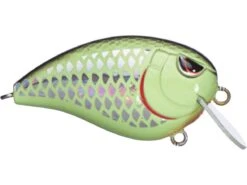 SPRO John Crews Baby Fat John 50 Shallow Crankbait 13 SPRO John Crews Baby Fat John 50 Shallow Crankbait -Fishing Promotion Store 32341722726489