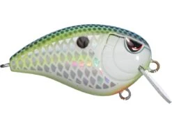 SPRO John Crews Baby Fat John 50 Shallow Crankbait 14 SPRO John Crews Baby Fat John 50 Shallow Crankbait -Fishing Promotion Store 32341722759257