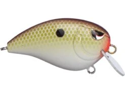 SPRO John Crews Baby Fat John 50 Shallow Crankbait 16 SPRO John Crews Baby Fat John 50 Shallow Crankbait -Fishing Promotion Store 32341722824793