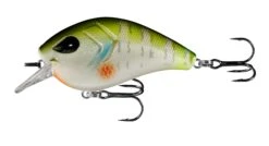 13 Fishing Flatty Daddy 2 1/2 Inch Flat-Sided Squarebill Crankbait 14 13 Fishing Flatty Daddy 2 1/2 Inch Flat-Sided Squarebill Crankbait -Fishing Promotion Store 39255574184025