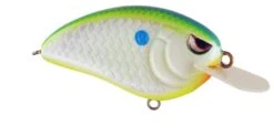 SPRO Little John 50 Type R Shallow Diving Crankbait 11 SPRO Little John 50 Type R Shallow Diving Crankbait -Fishing Promotion Store 39332414423129
