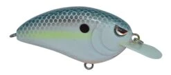 SPRO Little John 50 Type R Shallow Diving Crankbait 14 SPRO Little John 50 Type R Shallow Diving Crankbait -Fishing Promotion Store 39332414554201