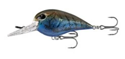 13 Fishing Gordito 2 Inch Medium Diving Crankbait 11 13 Fishing Gordito 2 Inch Medium Diving Crankbait -Fishing Promotion Store 39332617879641