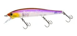 Hardcore Minnow Flat 70SP/95SP Suspending Jerkbait 25 Hardcore Minnow Flat 70SP/95SP Suspending Jerkbait -Fishing Promotion Store 39376113401945