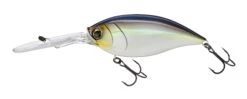 Hardcore Bullet Crank 100F 7+ Extra Deep Crankbait 20 Hardcore Bullet Crank 100F 7+ Extra Deep Crankbait -Fishing Promotion Store 39406623686745