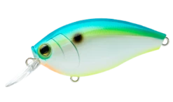 Hardcore Crank 65F 2+ Medium Crankbait 15 Hardcore Crank 65F 2+ Medium Crankbait -Fishing Promotion Store 39410750685273