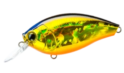 Hardcore Crank 65F 2+ Medium Crankbait 19 Hardcore Crank 65F 2+ Medium Crankbait -Fishing Promotion Store 39410750816345